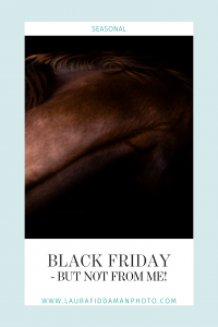 blog header - black friday but not from me - Laura Fiddaman Photography