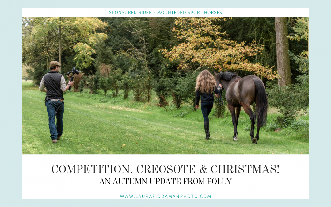 Competition, creosote & Christmas